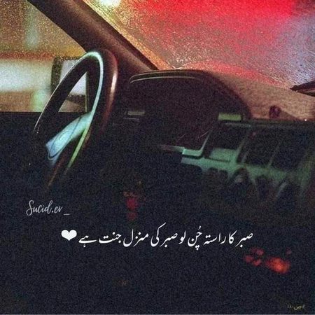 Life Advice image