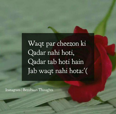 Azil sharing