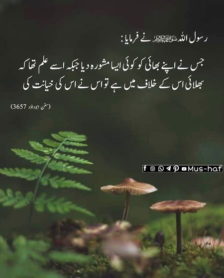 Islamic Quotes image