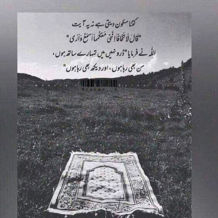 "شاہ_میر"🔥🖤