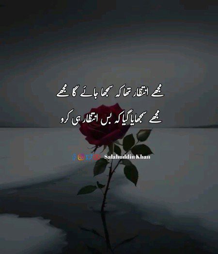 Saanaam ❣️❣️