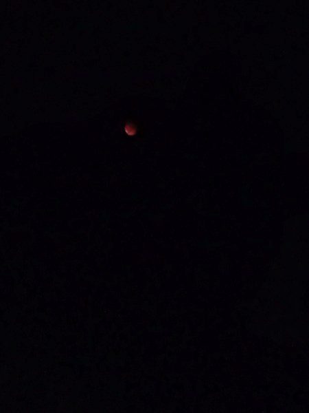 Red moon 🌑