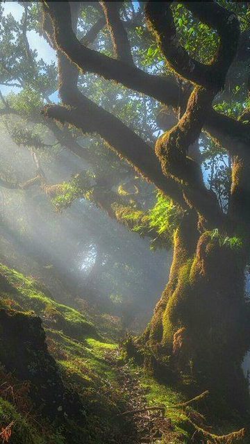 Beautiful Nature image
