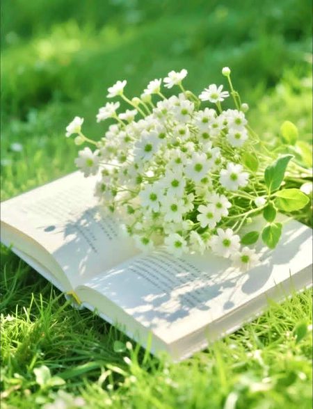 Beautiful Nature image