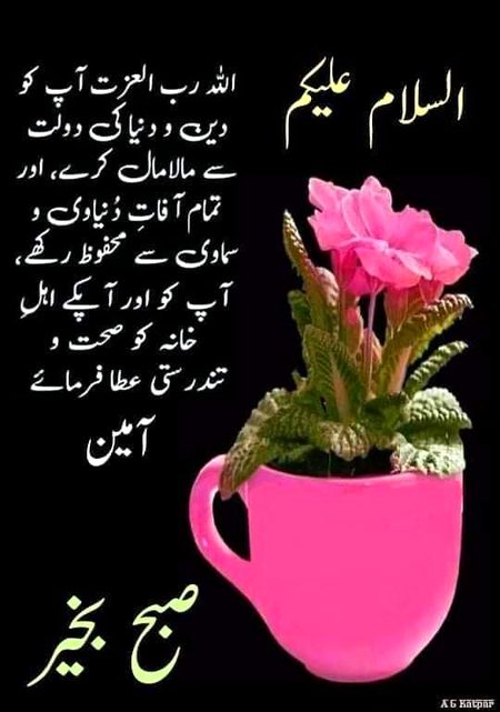 السَّلاَمُ عَلَيْكُمْ وَرَحْمَةُ اللهِ وَبَرَكَاتُهُ
صبح بخير ذندگی