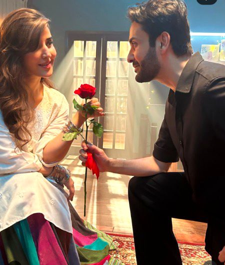 Pakistani Celebs image