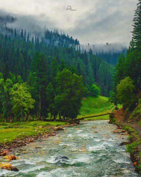 Beautiful Nature image