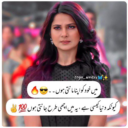 Attitude Quotes image