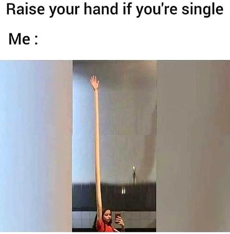 Memes & Satire image