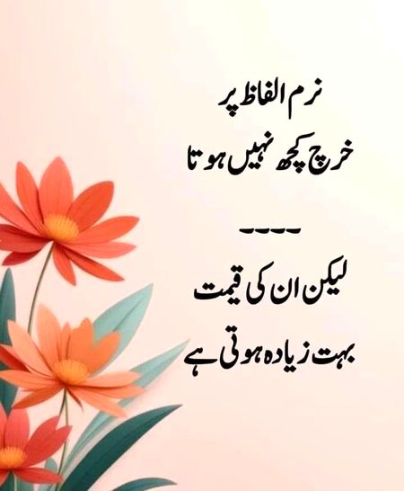 Saanaam ❣️❣️ jsy tmhary hn alfaz naram 👍