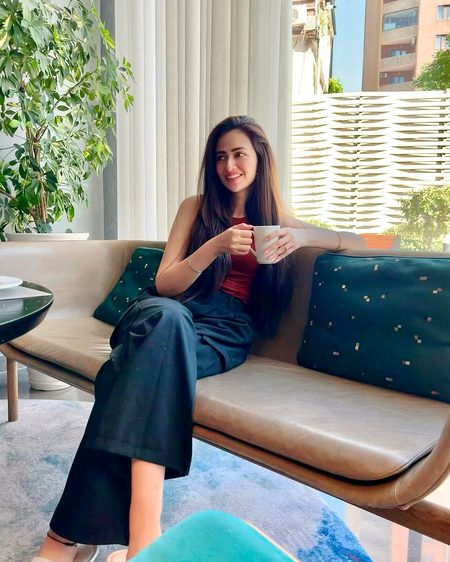 Pakistani Celebs image