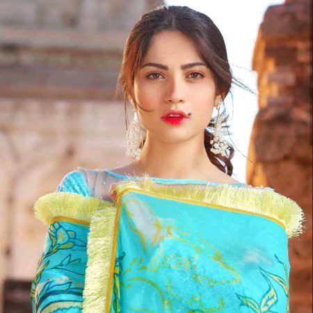 Pakistani Celebs image