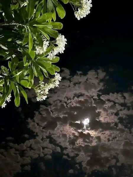 Beautiful Nature image