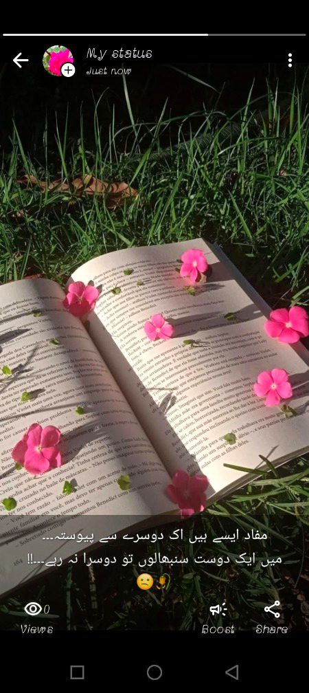 Beautiful Nature image