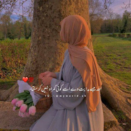 Islamic Quotes image