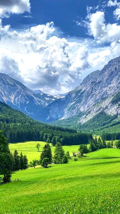 Nature 🌟
