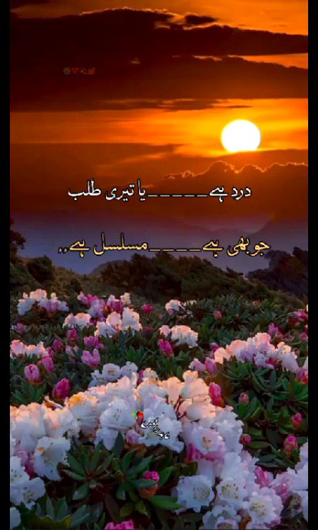 Sad Poetry image