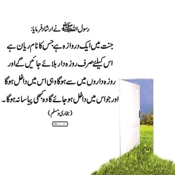 Islamic Quotes image