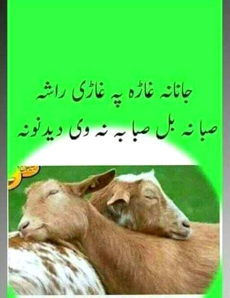 Blkul time kam ha,