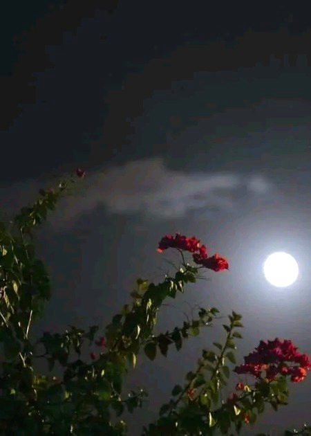 Beautiful Nature image