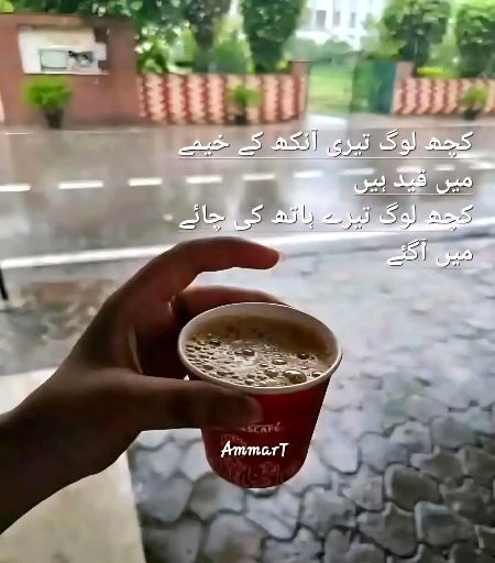 چائے کے تلخ گھونٹ سے اٹھتا ہوا غبار
وہ انتظار شام وہ منظر کہاں گیا ۔