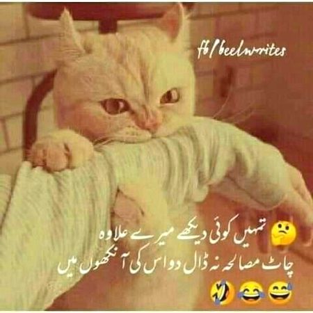Saanaam dkhy to daldoga ❣️❣️