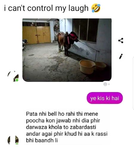 Memes & Satire image