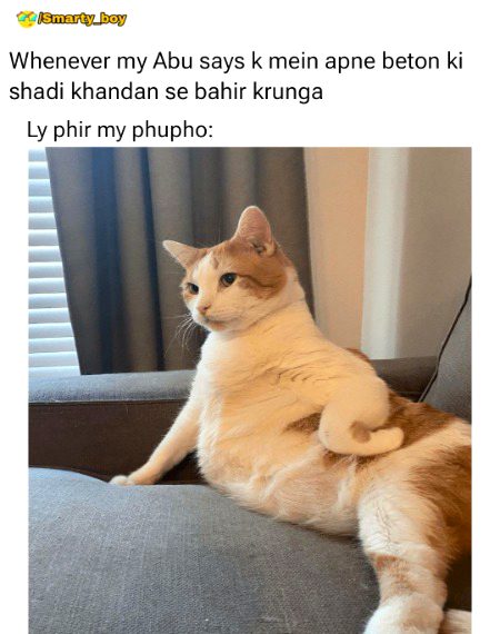 Memes & Satire image