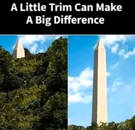 ٩(๑❛ᴗ❛๑)۶