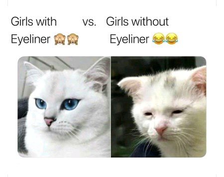 Memes & Satire image