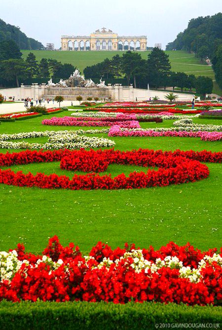 Beautiful Nature image