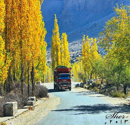 Beautiful Nature image