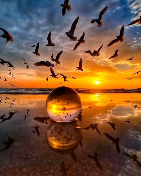 Beautiful Nature image