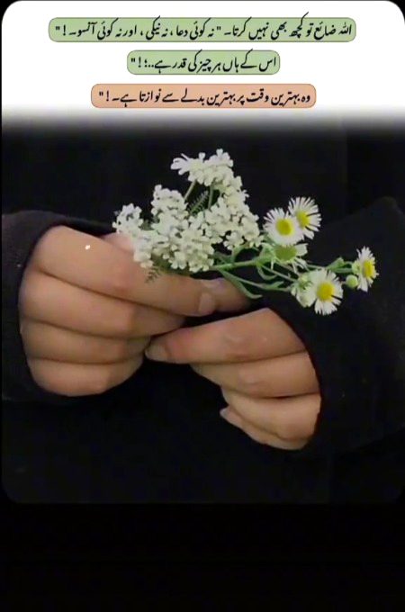 .g3.g3.g3 Beshak.g3.g3.g3