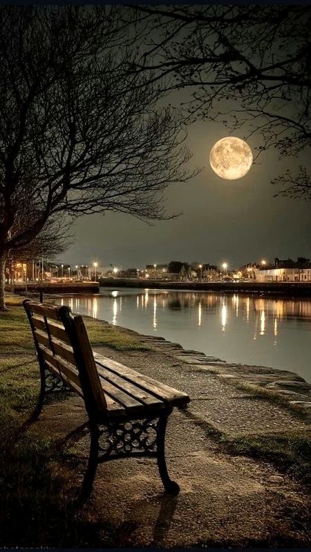 Beautiful Nature image