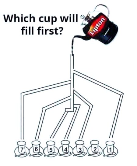 Which cup will fill first ...?