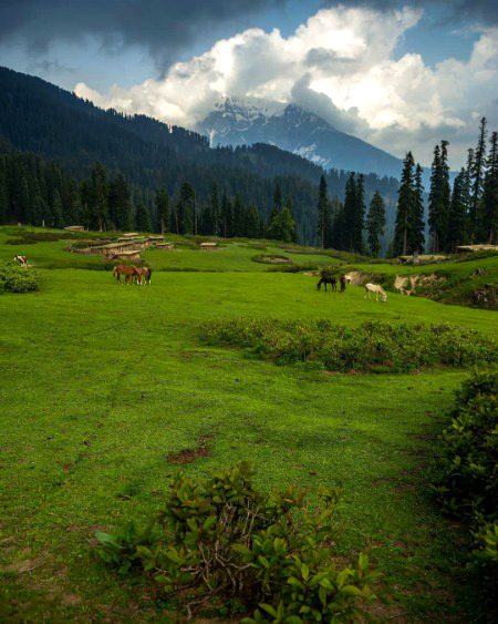 Beautiful Nature image