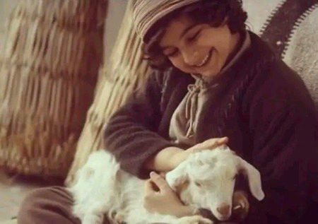 *محبت آپ کو ہر جاندار میں نظر آئے گی ______❤🩹*
*جبکہ دھوکہ صرف اشرف المخلوقات کی خصوصیت ہے*