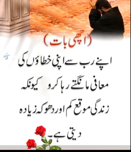 Beshak best 👌🤲🏽