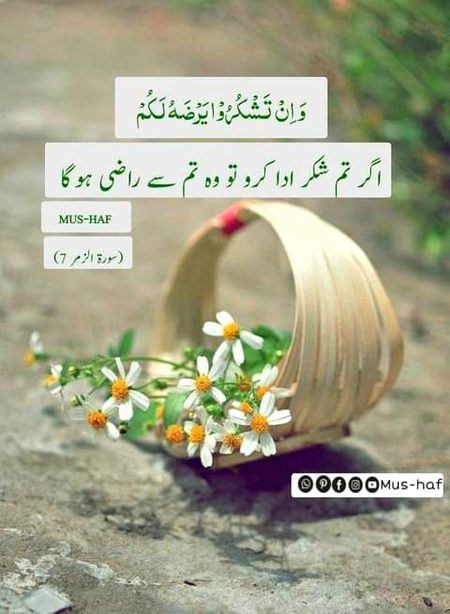 Islamic Quotes image