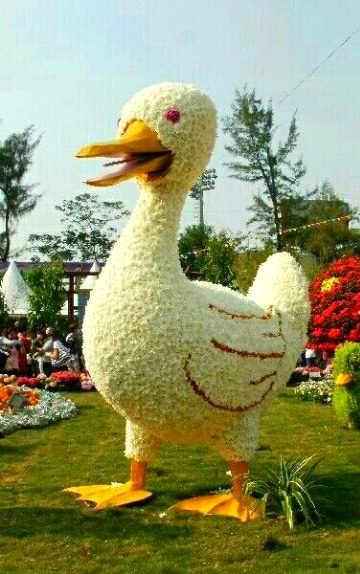 Beautiful Nature image