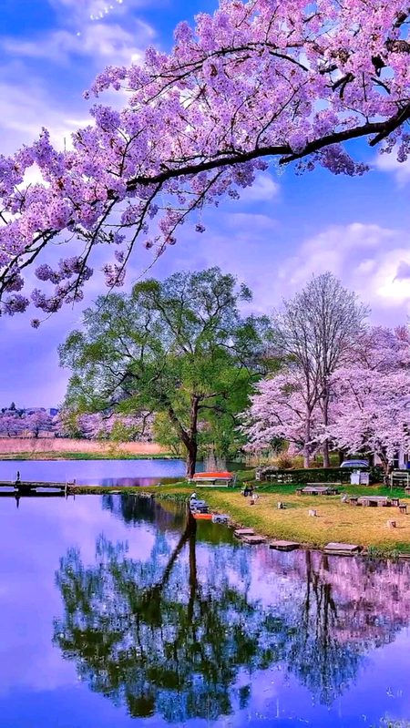 Beautiful Nature image