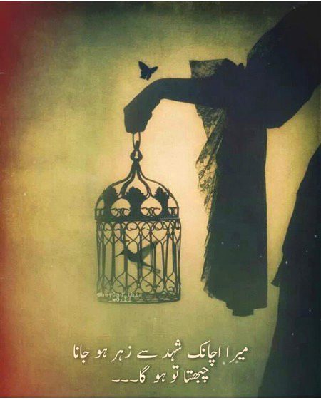 Sumira_Ameen_22💓💓