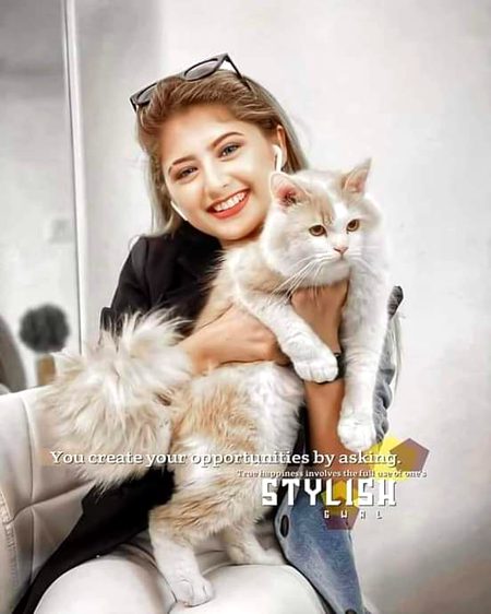TikTok Stars image