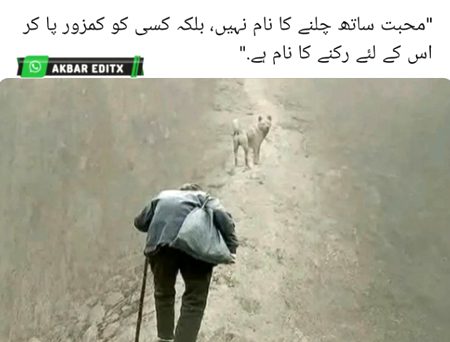 جب کسی کو چنتے ہیں تو مکمل چنتے ہیں اس کے اصل کے ساتھ، اس کی وحشتیں تکلیفیں، دکھ، حالتیں، اداسیاں، سبھی کو اپناتے ہیں، تعلق صرف خوشی اور مسرت کے پل ساتھ بانٹنے کا نام نہیں دوسرے انسان کے دکھ میں اس کو سنبھالنے  تھپکی دینے اس کے ساتھ رونے اس کی تکلیفوں کو چننے کا نام ہے
🍃💞🍃