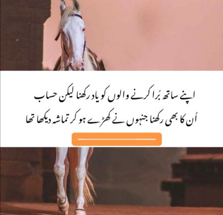 Attitude Quotes image