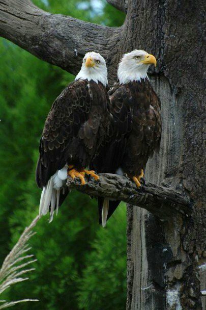 Beautiful Nature image