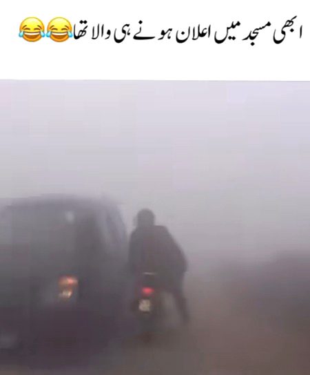 Memes & Satire image