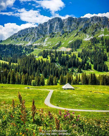 Beautiful Nature image