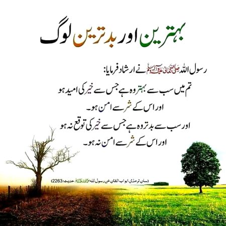 Islamic Quotes image